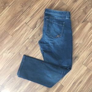 Express Skinny Stella Regular Fit Low Rise
